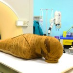 Museum Secrets TV series trailer