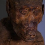 Animal mummies around the world