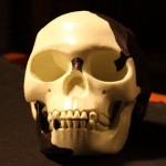 A History of Cannibalism