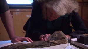 RS7413_ROM_Gayle_babymummy-hpr