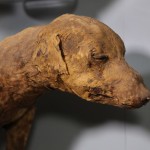 Animal mummies at museums around the world