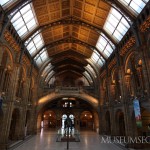 Tips for navigating London’s Natural History Museum