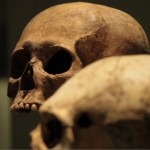 What’s the secret path to Mayan afterlife?