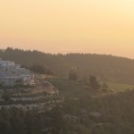 Israel Museum, Scout Trip Diary: History in Abundance